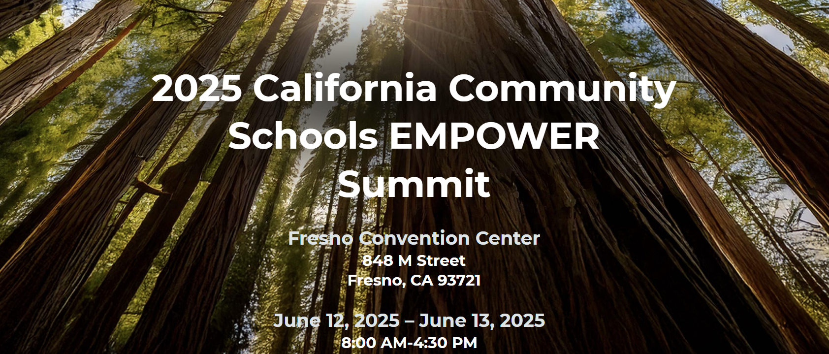 Looking up at an empowering image of trees. The trees are very tall redwood trees that are reaching towards the sun. The image conveys the emotions of strength, growth, optimism, and empowerment.